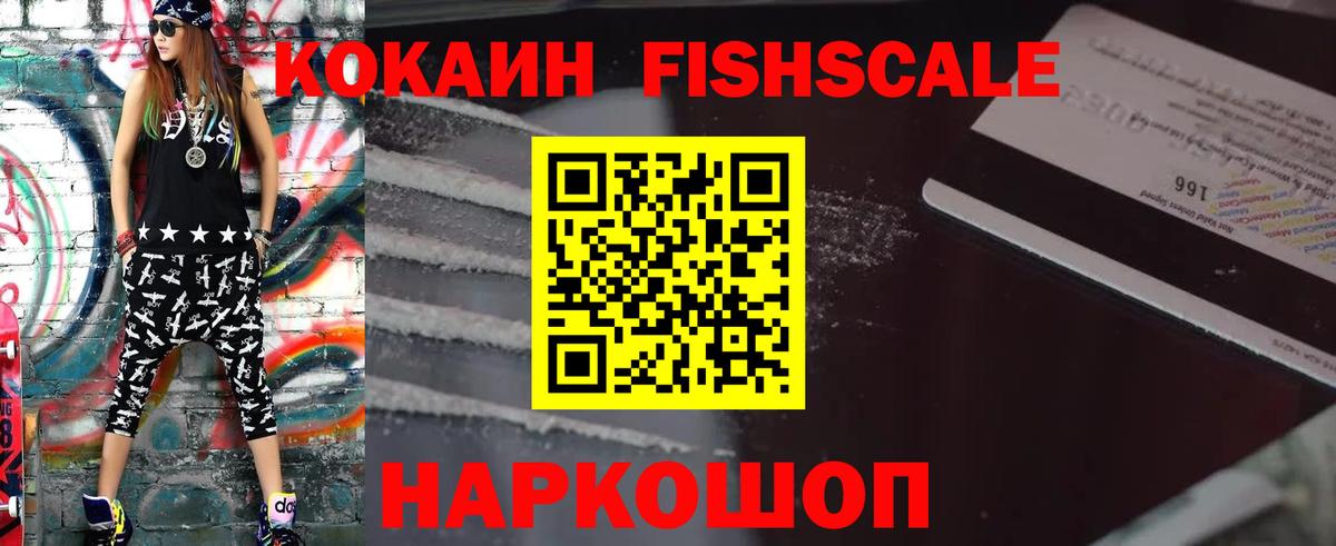 Cocaine Fish Scale  Кокаин Fish Scale  купить наркотики цена  Выкса  Вход с VPN 
