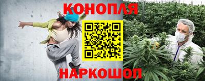 прущая мука Ярославль