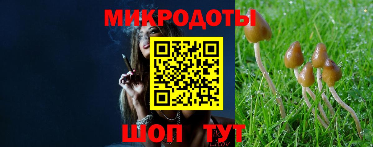 Выкса  Галлюциногенные грибы Psilocybine cubensis  Вход с VPN 