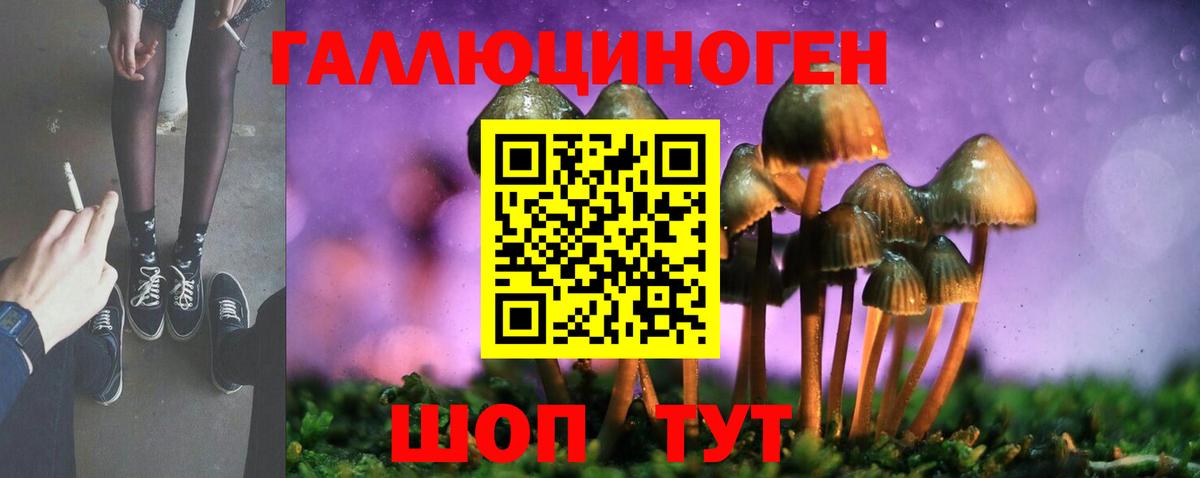 Псилоцибиновые грибы Cubensis Выкса